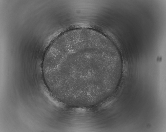 X0000110760394200907131215