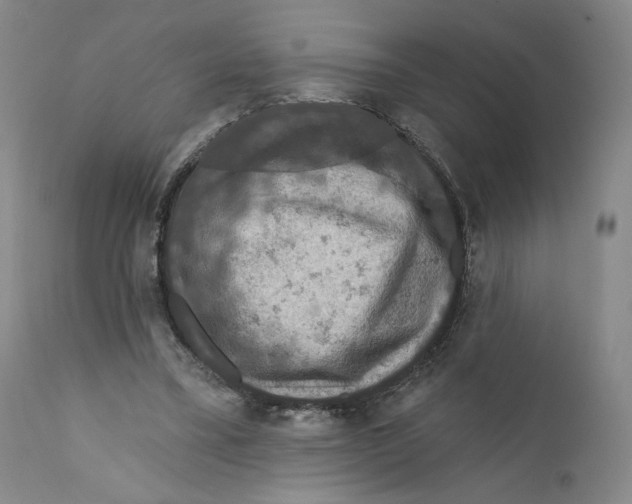 X0000110760395200907131215
