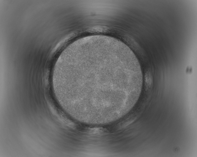 X0000110760396200907131215