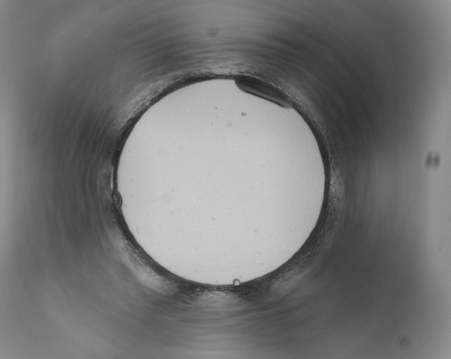 X0000110760397200907131215