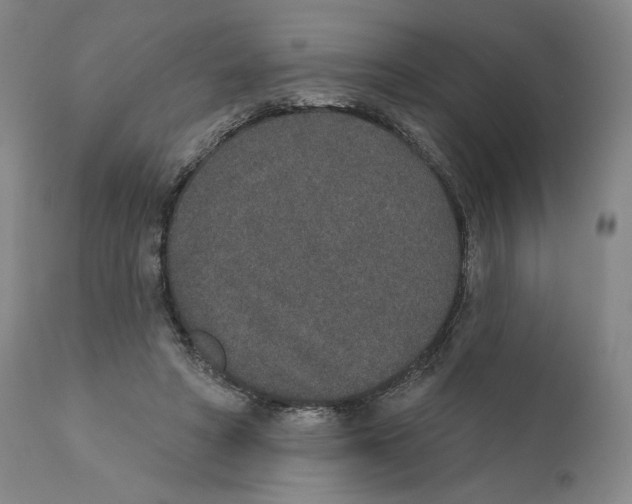 X0000110760402200907131215