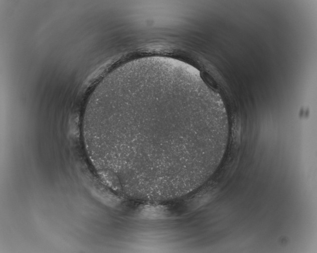 X0000110760403200907131215