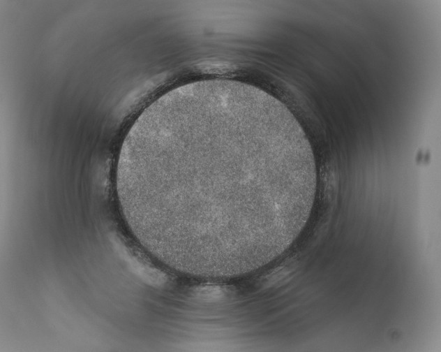 X0000110760404200907131215