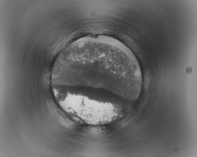 X0000110760405200907131215