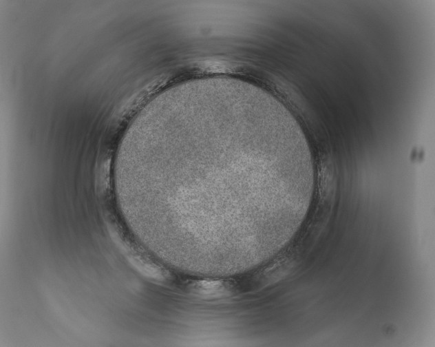 X0000110760406200907131215