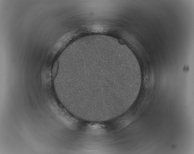 X0000110760407200907131215