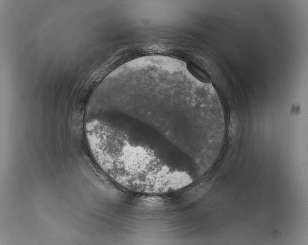 X0000110760409200907131215