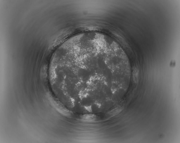 X0000110760410200907131215