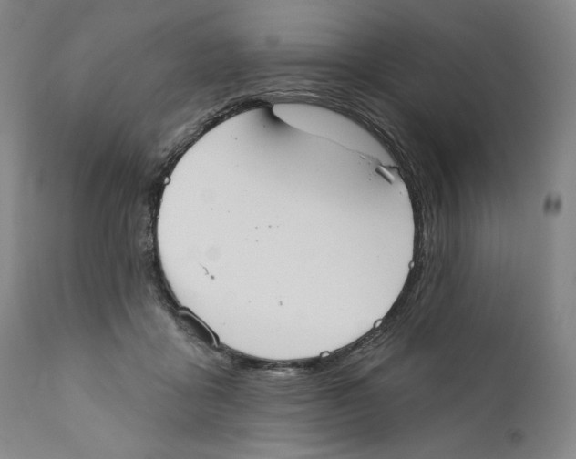 X0000110760411200907131215