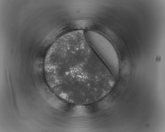 X0000110760413200907131215