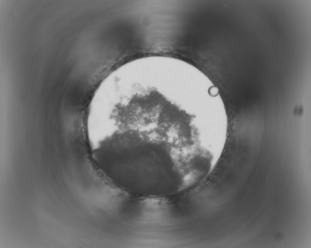 X0000110760415200907131215