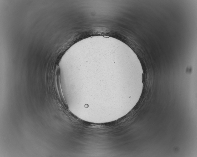 X0000110760417200907131215