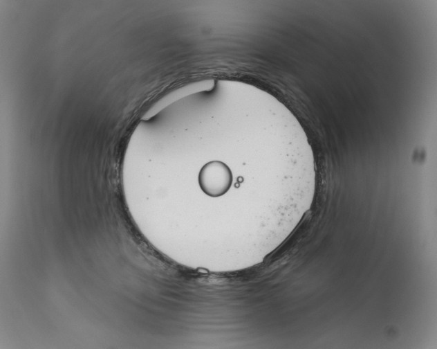 X0000110760419200907131215