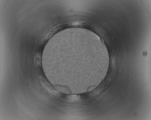 X0000110760421200907131215