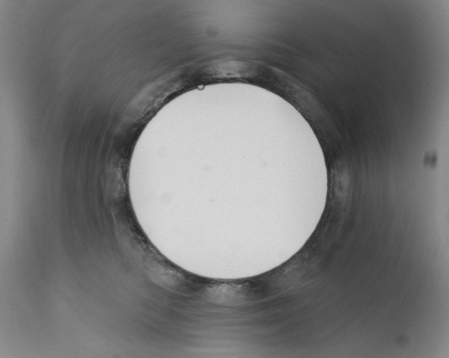 X0000110760422200907131215