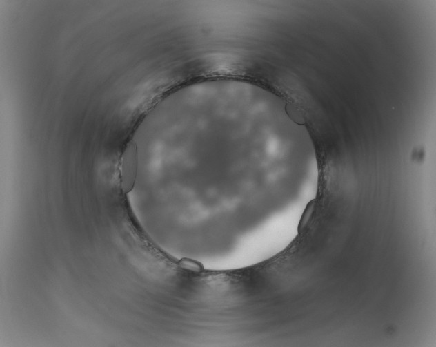 X0000110760423200907131215