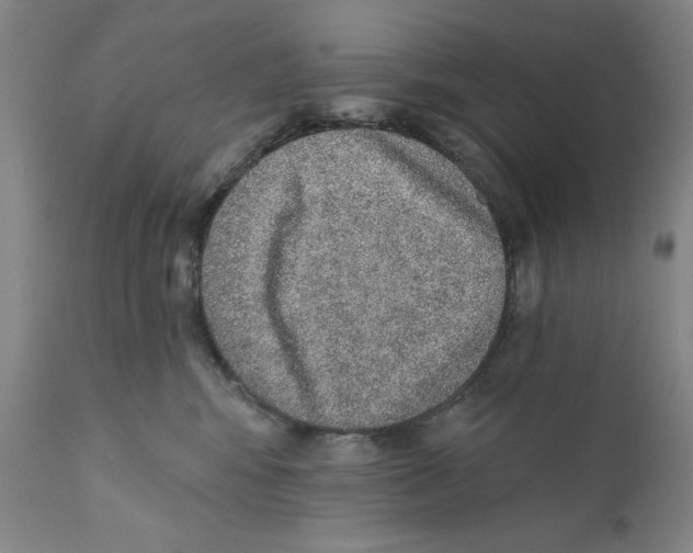 X0000110760424200907131215