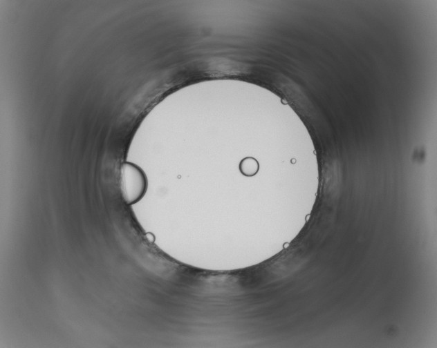 X0000110760426200907131214