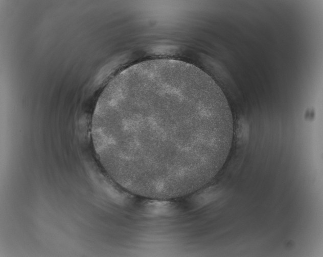 X0000110760428200907131214