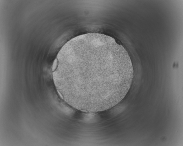 X0000110760432200907131214