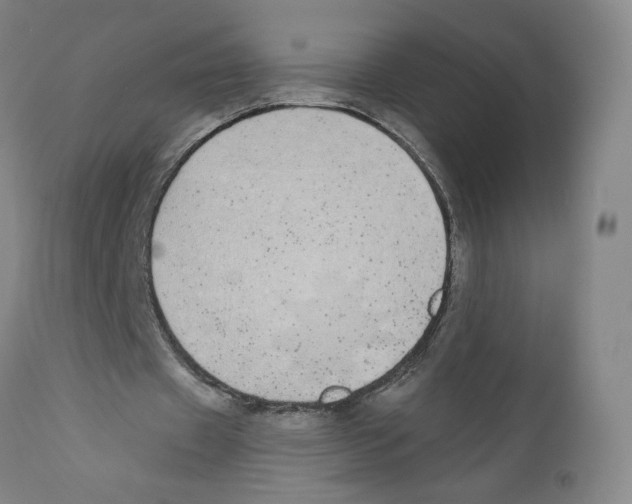 X0000110760433200907131214