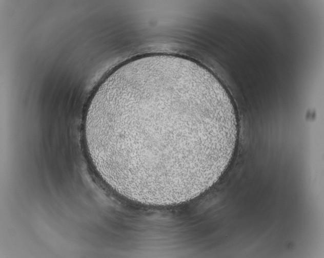 X0000110760434200907131214