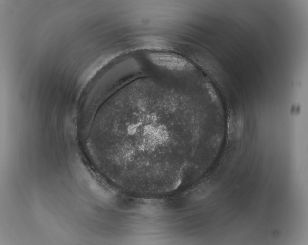 X0000110760436200907131214