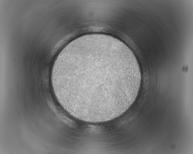 X0000110760442200907131214