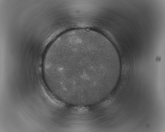 X0000110760443200907131214