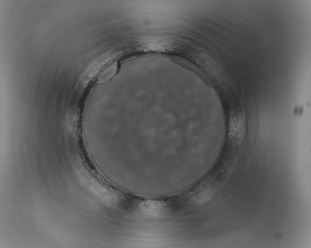X0000110760444200907131214