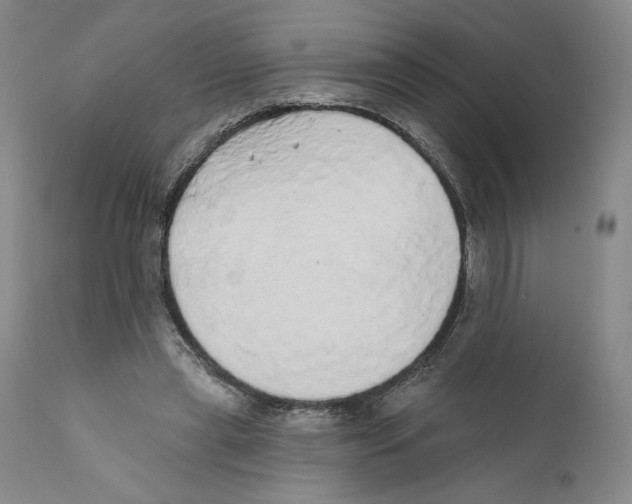 X0000110760445200907131214