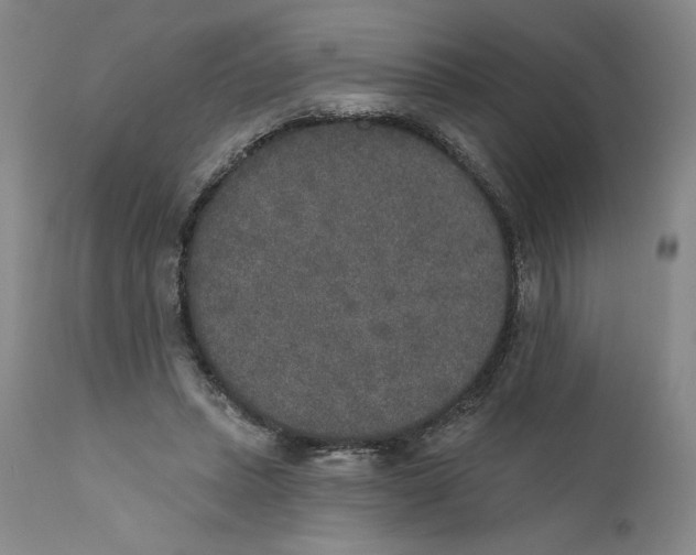 X0000110760447200907131214