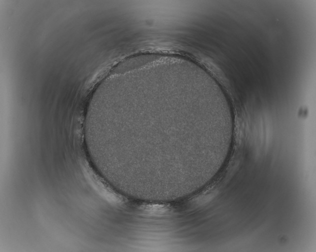 X0000110760449200907131214