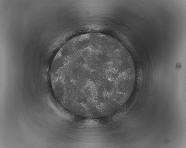 X0000110760451200907131214