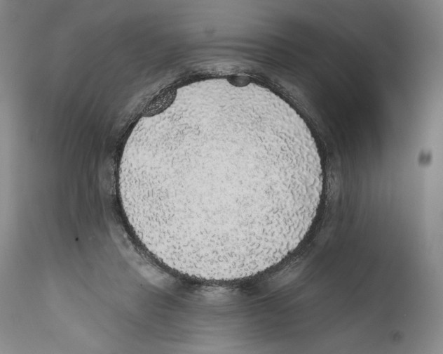 X0000110760453200907131214