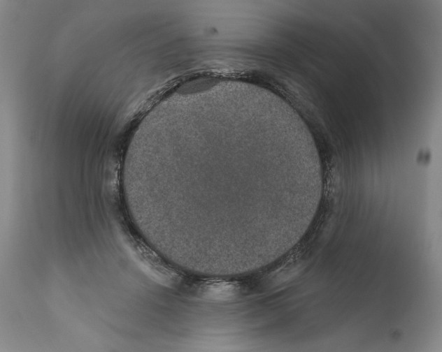 X0000110760456200907131214