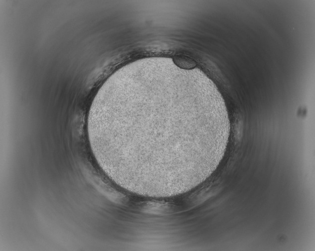 X0000110760458200907131214