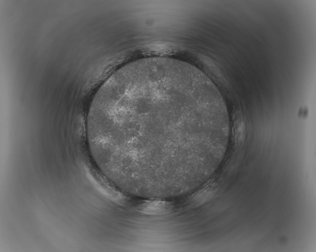 X0000110760459200907131214