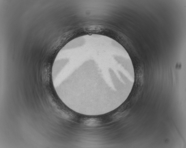 X0000110760460200907131214