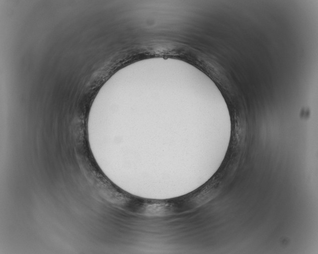 X0000110760461200907131214