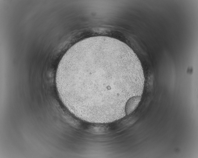 X0000110760466200907131214