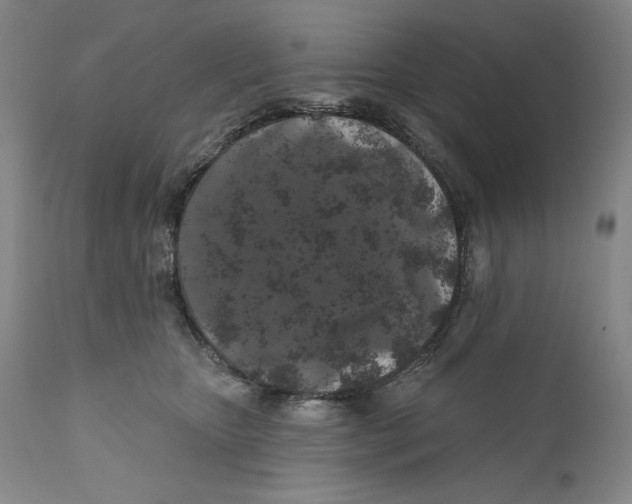 X0000110760467200907131214