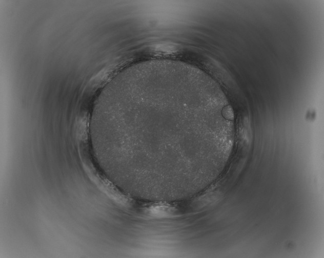 X0000110760468200907131214