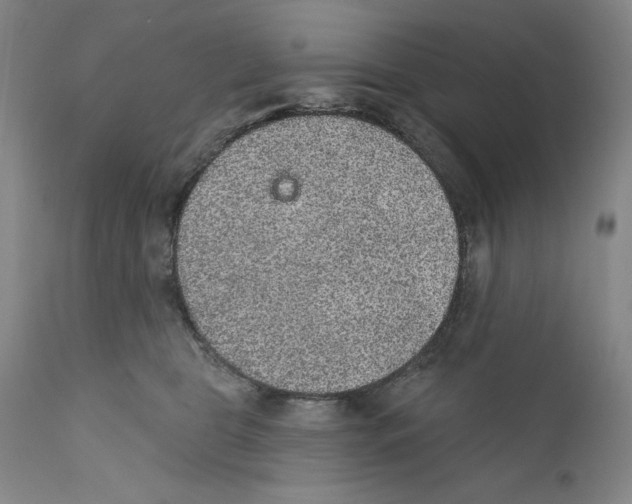 X0000110760469200907131214