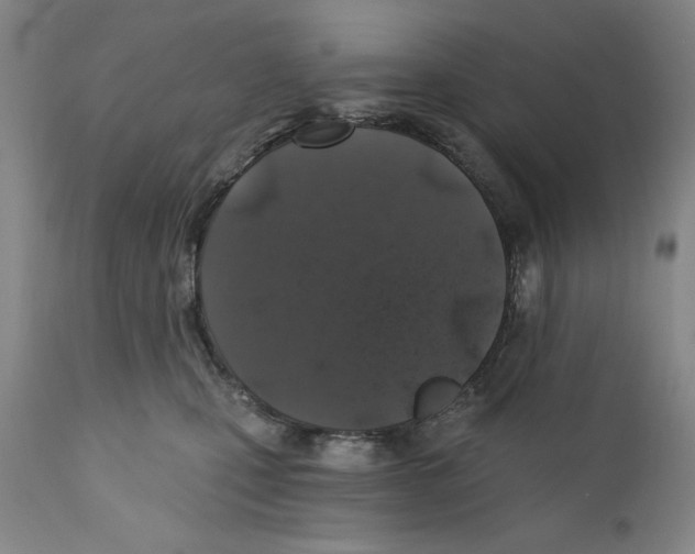X0000110760471200907131214