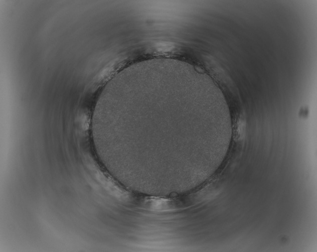 X0000110760472200907131214