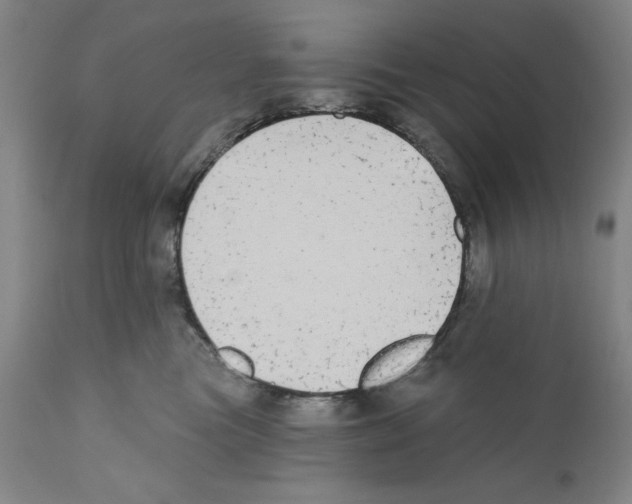 X0000110760473200907131214