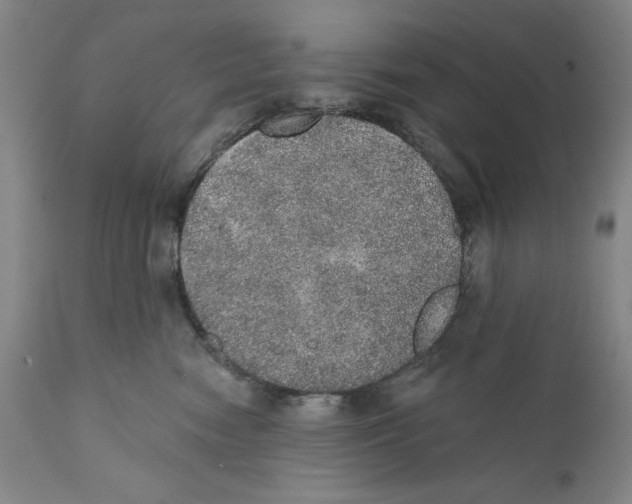 X0000110760474200907131214