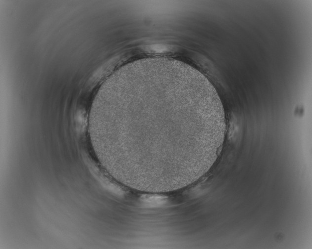 X0000110760476200907131214