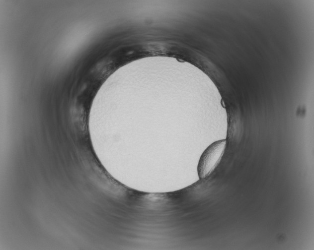 X0000110760477200907131214